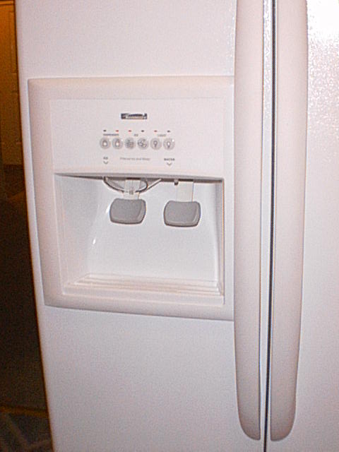 Ice and water in door.JPG - 44865 Bytes